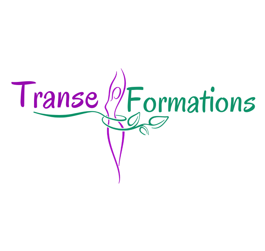 LOGO Trans Formations